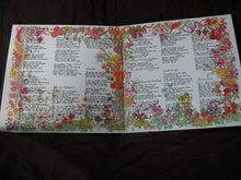 Load image into Gallery viewer, Sandy Denny : Sandy (LP, Album)
