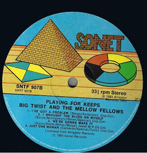 Load image into Gallery viewer, Big Twist And The Mellow Fellows : Playing For Keeps (LP, Album)
