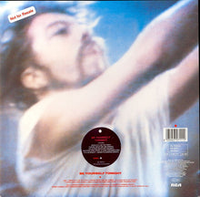 Load image into Gallery viewer, Eurythmics : Be Yourself Tonight (LP, Album)
