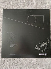 Polly Scattergood : In This Moment (LP, Album, Ltd, Cle)