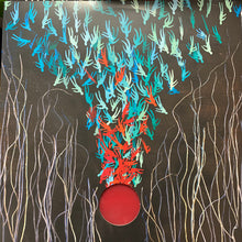Load image into Gallery viewer, Bright Eyes : Down In The Weeds, Where The World Once Was (LP, Red + LP, S/Sided, Etch, Ora + Album, Ltd)
