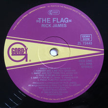 Load image into Gallery viewer, Rick James : The Flag (LP, Album)
