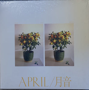 Emmy The Great : April / 月音 (LP, S/Edition)