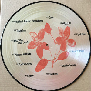 beabadoobee : Fake It Flowers (LP, Album, Ltd, Pic)