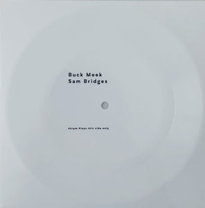 Buck Meek : Two Saviors (LP, Album, Ltd, Num, Blu + Flexi, 7", Shape, S/Sid)