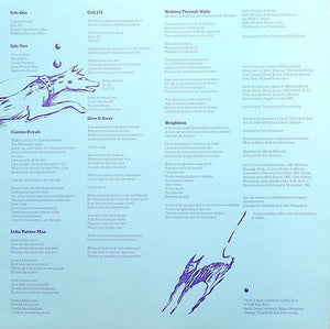 Steve Hackett : Highly Strung (LP, Album)