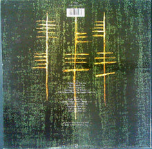 Load image into Gallery viewer, In Tua Nua : The Long Acre (LP, Album)
