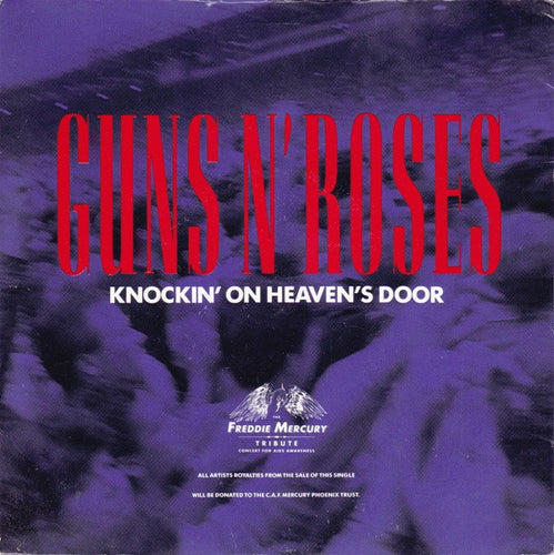Guns N' Roses : Knockin' On Heaven's Door (7