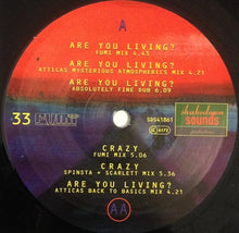 Load image into Gallery viewer, Fumi (30) : Are You Living? / Crazy (12")
