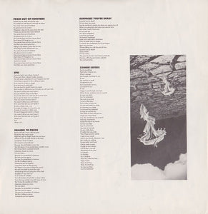 Faith No More : The Real Thing (LP, Album)