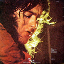 Load image into Gallery viewer, Rory Gallagher : Live In Europe (LP, Album, RE, Gat)
