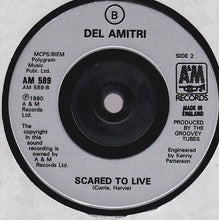 Load image into Gallery viewer, Del Amitri : Spit In The Rain (7", Single)
