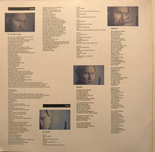 Load image into Gallery viewer, Roy Harper : In Between Every Line (2xLP)

