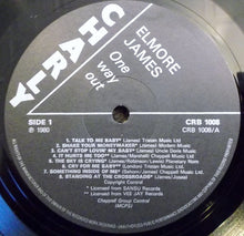 Load image into Gallery viewer, Elmore James : One Way Out (LP, Comp)
