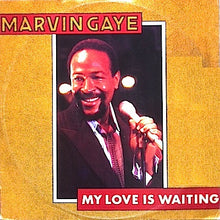 Load image into Gallery viewer, Marvin Gaye : My Love Is Waiting (12", Single)
