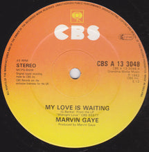Load image into Gallery viewer, Marvin Gaye : My Love Is Waiting (12", Single)
