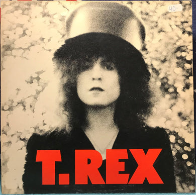 T. Rex : The Slider (LP, Album)
