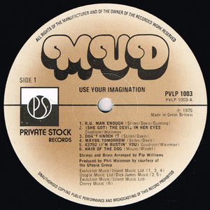 Mud : Use Your Imagination (LP, Album)
