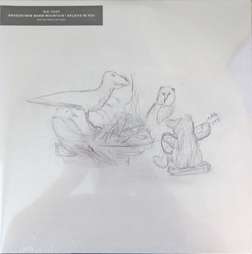 Big Thief : Dragon New Warm Mountain I Believe In You (2xLP, Album, Ran)