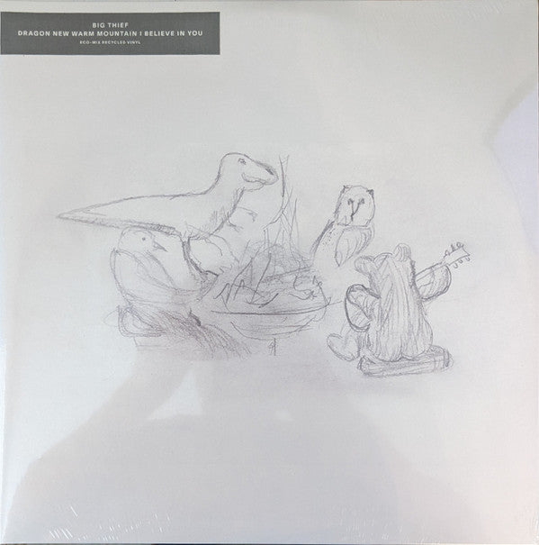 Big Thief : Dragon New Warm Mountain I Believe In You (2xLP, Album, Ran)