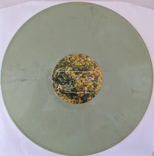 Load image into Gallery viewer, Big Thief : Dragon New Warm Mountain I Believe In You (2xLP, Album, Ran)
