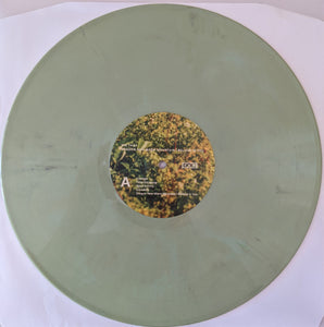 Big Thief : Dragon New Warm Mountain I Believe In You (2xLP, Album, Ran)