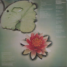 Load image into Gallery viewer, Mahavishnu Orchestra : Between Nothingness &amp; Eternity (LP, Album)
