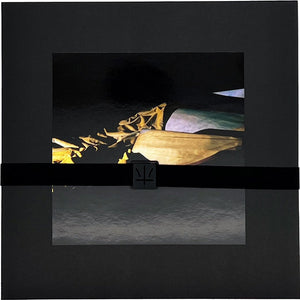 Holy Other : Lieve (LP, Album, Ltd, Num, Cle)