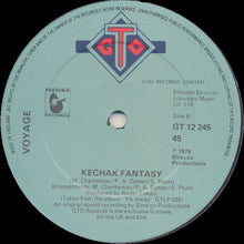 Load image into Gallery viewer, Voyage : Let's Fly Away (12", Single, Ltd)

