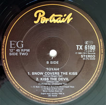 Load image into Gallery viewer, Toyah : Don&#39;t Fall In Love (I Said) (12&quot;)
