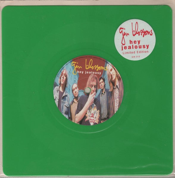 Gin Blossoms : Hey Jealousy (7