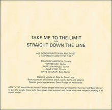 Load image into Gallery viewer, Amethyst (13) : Take Me To The Limit (7&quot;, Single)
