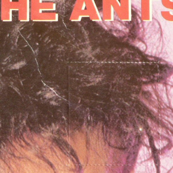 An Ant Rapping Buy Adam And The Ants : Ant Rap (7