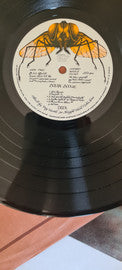 T.Rex* : Bolan Boogie (LP, Comp)
