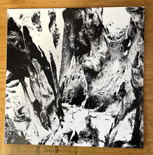 Load image into Gallery viewer, Other Half : Soft Action (LP, Album, Pin)
