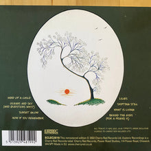 Load image into Gallery viewer, Julie Tippetts : Sunset Glow (CD, Album, RE, RM, Dig)
