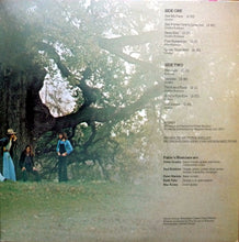 Load image into Gallery viewer, Fable (6) : Fable (LP, Album, Gat)
