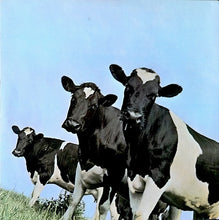 Load image into Gallery viewer, Pink Floyd : Atom Heart Mother (LP, Album, Gat)

