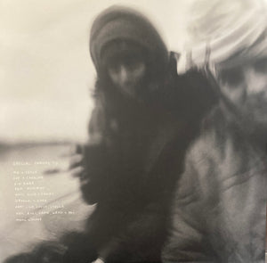 This Is The Kit : Careful Of Your Keepers (LP, Album, Ltd, Gre)