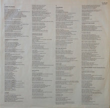 Load image into Gallery viewer, Steve Stevens : Atomic Playboys (LP, Album)
