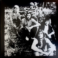 Load image into Gallery viewer, Fleetwood Mac : Fleetwood Mac&#39;s Greatest Hits (LP, Comp, RE, 180)

