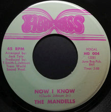 Load image into Gallery viewer, The Mandells : Now I Know / Don't Turn Your Back On Me (7")
