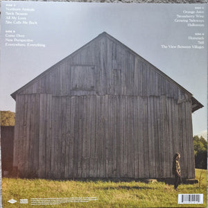 Noah Kahan : Stick Season (2xLP, Album)