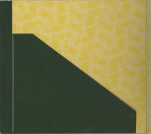Load image into Gallery viewer, Niamh Bury : Yellow Roses (CD, Album)
