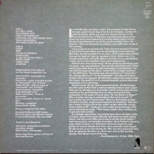 Load image into Gallery viewer, Steve Forbert : Little Stevie Orbit (LP, Album)
