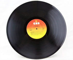 The Flying Burrito Bros : Flying Again (LP, Album)