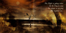 Load image into Gallery viewer, Forest Stream : Tears Of Mortal Solitude (CD, Album)
