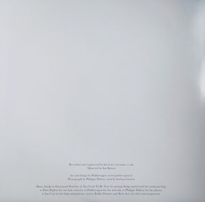 The Gentle Spring : Looking Back At The World (LP, Album)