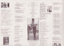 Load image into Gallery viewer, Steve Forbert : The American In Me (LP, Album)

