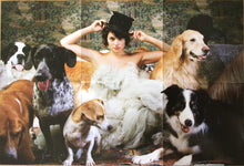 Load image into Gallery viewer, Norah Jones : The Fall (CD, Album)
